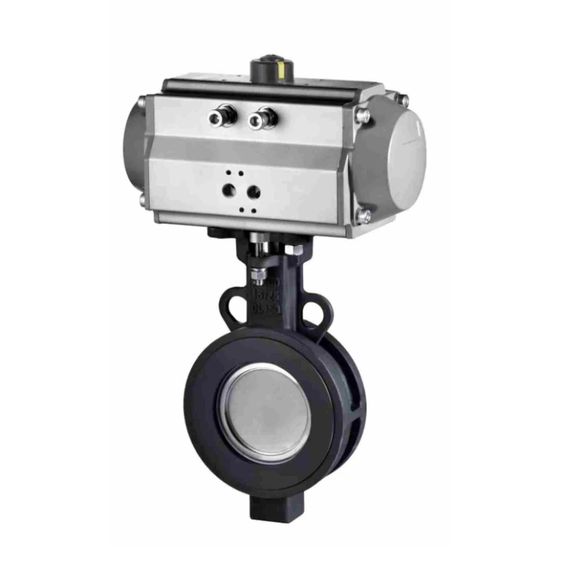 Double-offset butterfly valve Дроссельный клапан с двойным эксцентриситетом