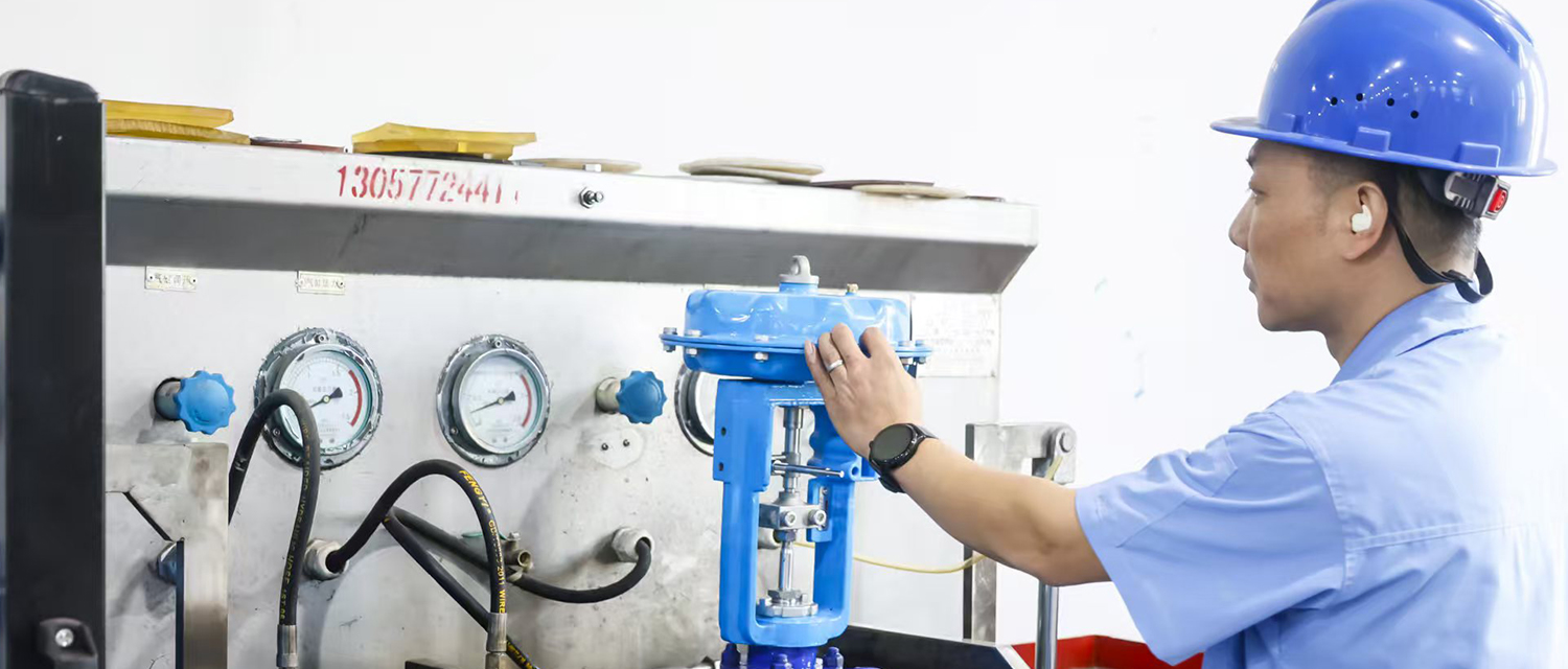 Professional valve testing and pressure gauge monitoring