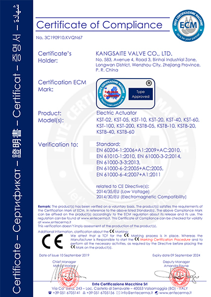 Сертификат KST Electric Actuator CE