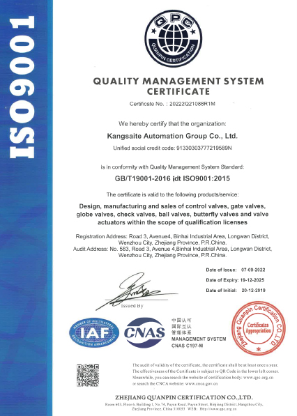 ISO19001.jpg